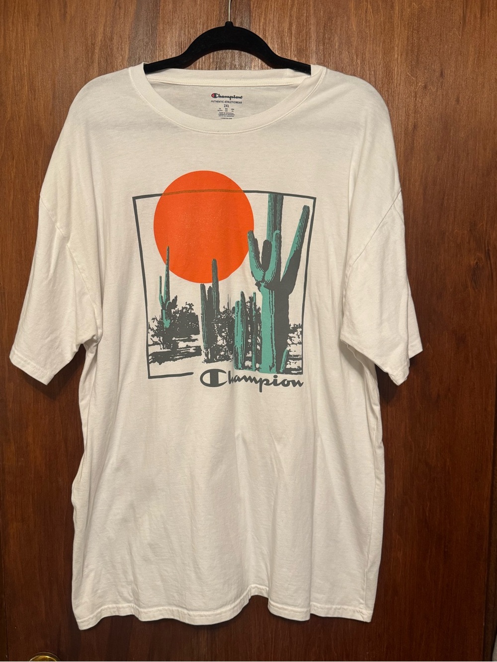 Champion Men’s Graphic Sun and Cactus Tee Size 2XL